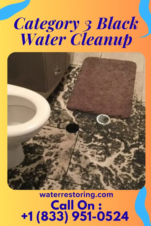 Category 3 Black Water Cleanup in Urich, MO